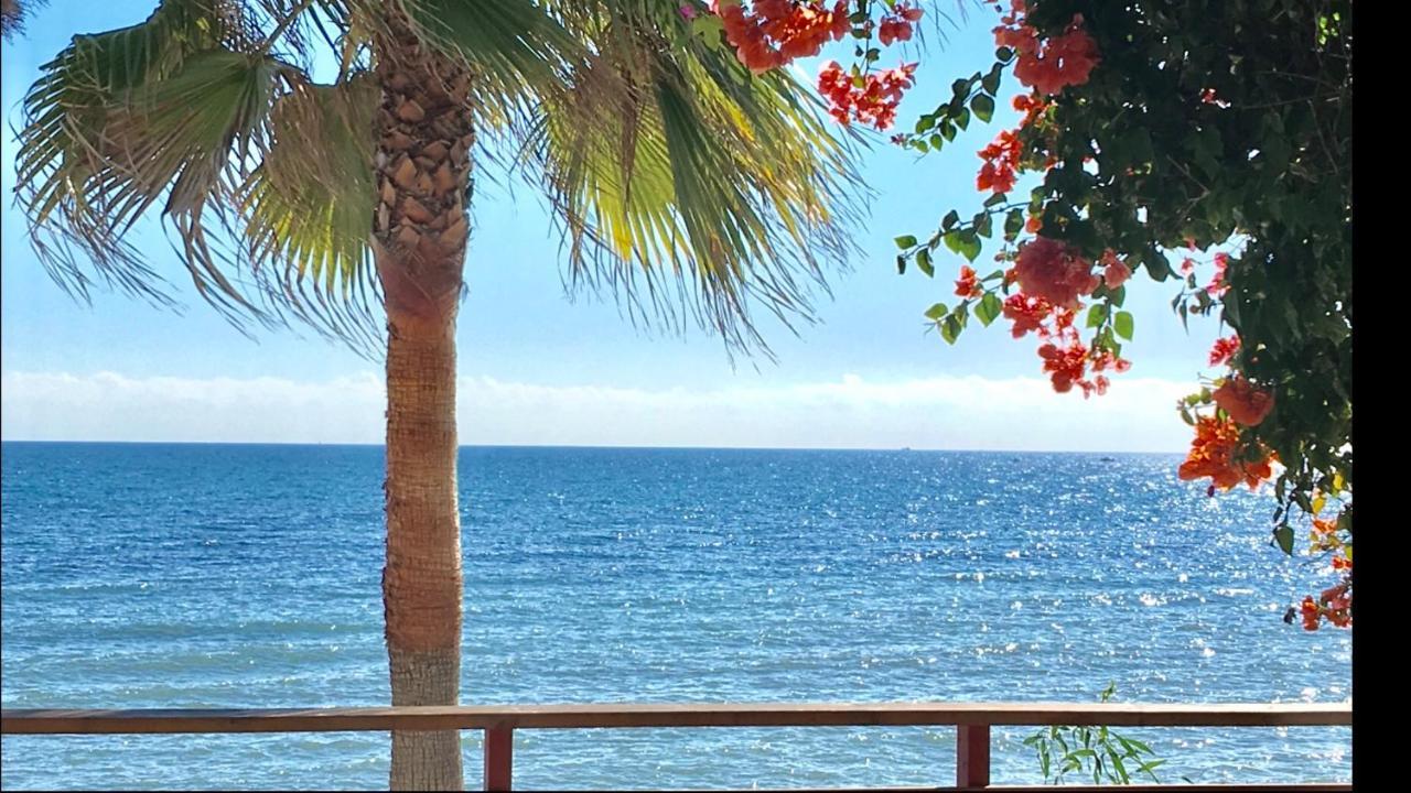 Mi Capricho Beachfront- 3-7 Apartment With Sea Views Sitio de Calahonda Екстер'єр фото